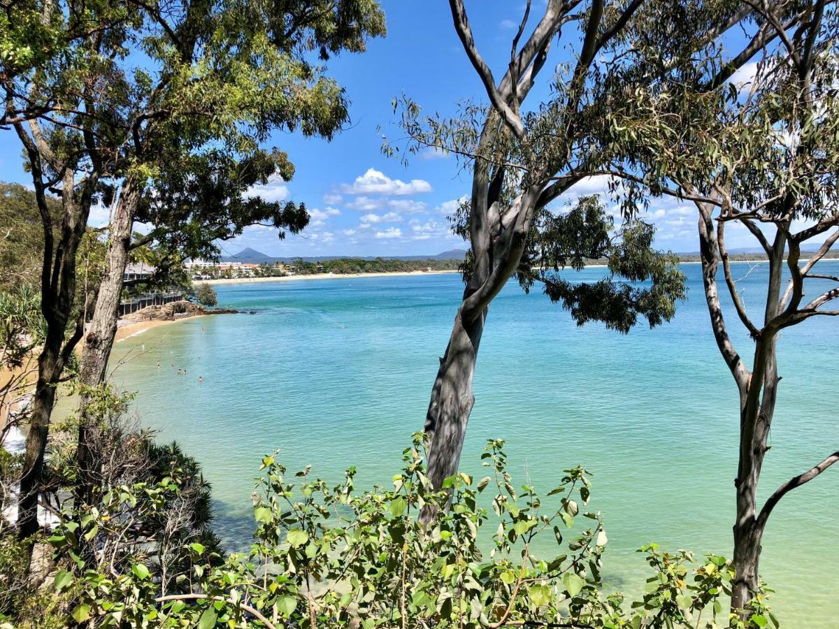 Apartment In 4* Resort - Pool Views - Great Location Noosaville Eksteriør bilde